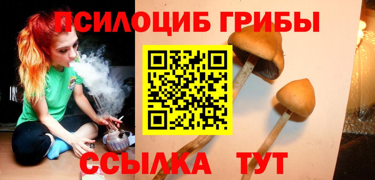 Галлюциногенные грибы Psilocybe  Псилоцибиновые грибы Psilocybe  Вход с VPN  Лыткарино 