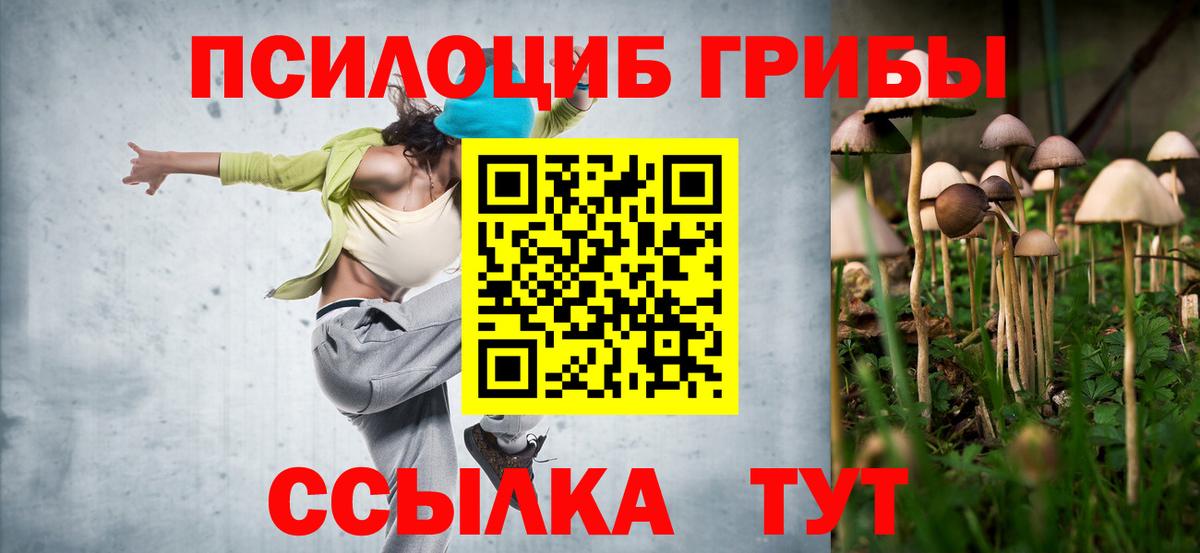 Псилоцибиновые грибы мухоморы Лыткарино